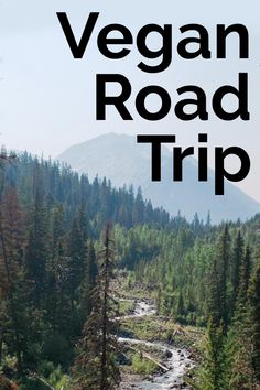 the words vegan road trip are overlaid with trees and mountains in the background