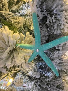 a starfish ornament hanging from the top of a christmas tree