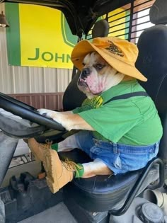 a dog sitting in the driver's seat of a vehicle wearing a hat and overalls