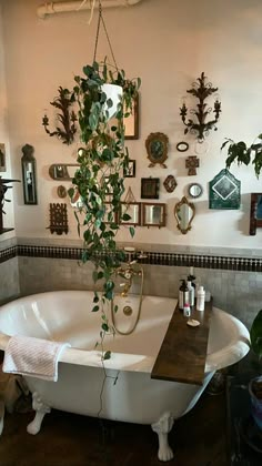 a bathroom with a claw foot tub and plants hanging on the wall, along with other decor