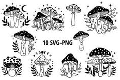 black and white illustrations of different types of mushrooms