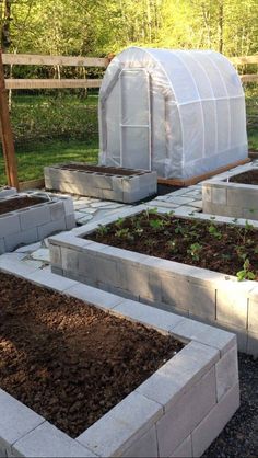 several raised beds with plants growing in them