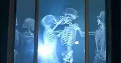 two skeletons standing next to each other in front of a window with blue light coming from behind them