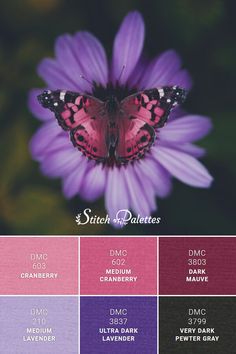 a purple flower with a red butterfly on it's petals and the names of each color