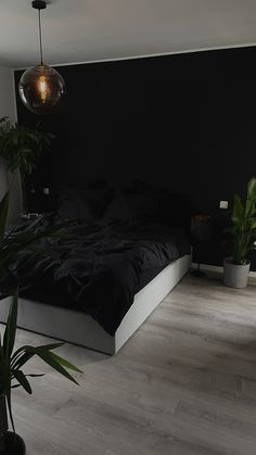 a bedroom with black walls and wooden flooring is pictured in this image, there are plants on the side of the bed