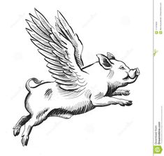 a flying pig with wings on it's back