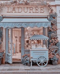 a store front with an ice cream cart on the sidewalk and flowers in pots around it