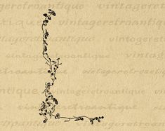 an old paper with vines on it and the letter l drawn in black ink, against a beige background