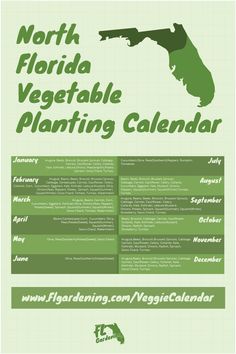 a green and white poster with the words central florida vegetable planting calendar