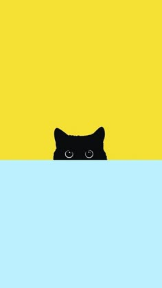 a black cat peeking out from behind a blue and yellow wall