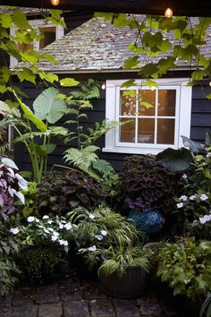 a house with lots of plants in front of it and a window on the side