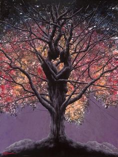 a painting of a tree with red and yellow leaves on it's branches in front of a purple background