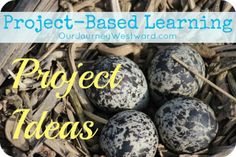 four black and white eggs in a nest with the words project - based learning on it