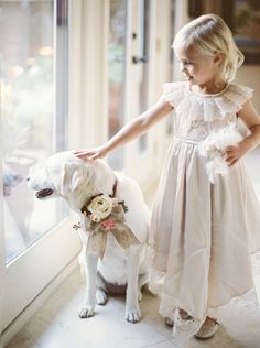 WEDDING DOGS Mini Wedding Dresses, Mod Wedding, Wedding With Kids, Girl And Dog, Flower Girls, Event Styling