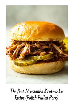 a pulled pork sandwich with pickles on the side