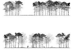 three different views of trees in black and white, each with an individual walking through them