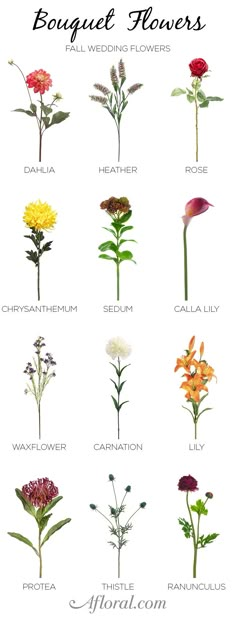 the different types of flowers are shown in this image, and each flower has its own name