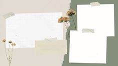 an image of some flowers and papers on the wall with torn up paper behind them