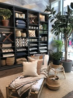 a living room filled with lots of furniture and plants on shelves next to each other