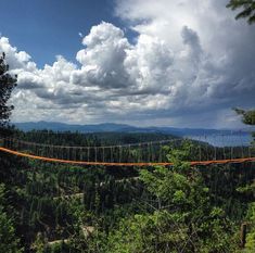 a suspension bridge in the middle of a forest on a cloudy day with mountains in the background