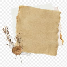 an old piece of paper with some dried plants and a wax stamp on it png