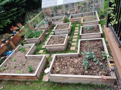 a garden filled with lots of different types of vegetables and plants in wooden raised beds