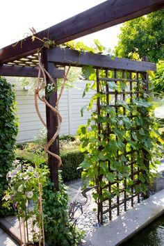 an outdoor garden with lots of plants and water