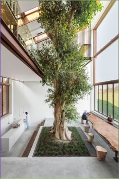 a large tree in the middle of a room with two people sitting on benches under it