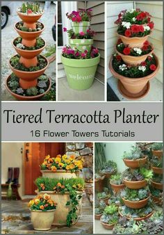 there are many potted plants in this collage with the words tiered terracotta planter