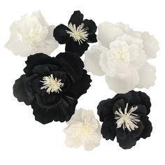 black and white flowers are arranged in the shape of an ovoid, on a white background