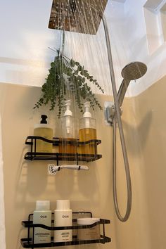 a shower head with soaps, lotion and plants hanging from it's side