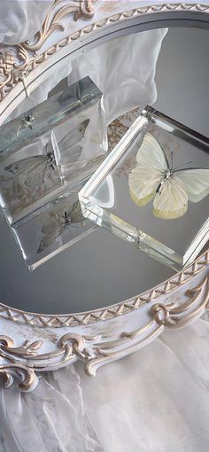 two butterflies sitting on top of a glass box in front of a mirror with the reflection of it's wings