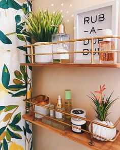 a bathroom with two shelves filled with plants and personal care items next to a shower curtain