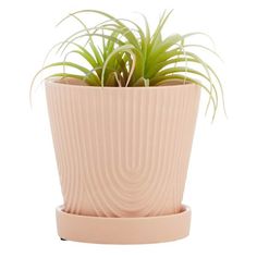 a pink potted plant with green plants in it