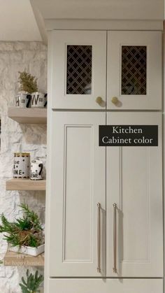 the kitchen cabinet color is white and has two doors on each side, with glass inserts at the top