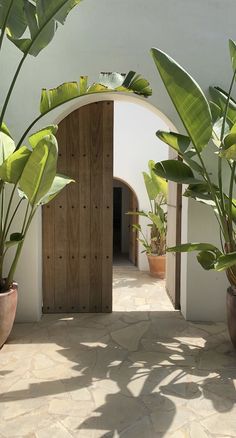 an arched doorway leads into a courtyard with potted plants on either side and a wooden door in the center