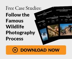 the wildlife photography course is available for free