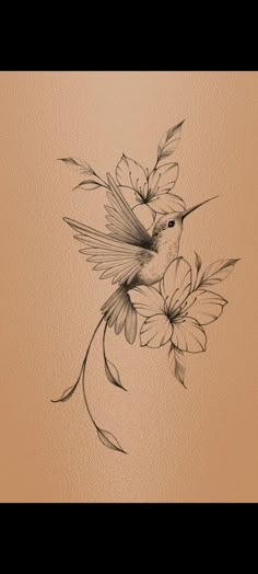 a drawing of a hummingbird on a flower