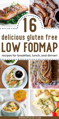 Try our low-FODMAP gluten-free recipes, perfect for anyone looking to alleviate digestive discomfort while enjoying delicious food. These meals are nutritious and tasty, with a range of options from quick snacks to elaborate dinners. These recipes will transform your diet and support your digestive health. Clean Eating Recipes | Gluten-Free Easy Meals | Easy Gluten-Free Recipes | Healthy Recipes | Food and Drink | Gluten Free Diet | Lunches and Dinners | Healthy Living | Gluten Free Lifestyle Low Fodmap Inspiration, Low Fodmap Gluten Free Dairy Free, Gluten Free Fodmap Recipes, Low Fod Map Recipe, Bobs 1 To 1 Gluten Free Recipes, Low Fodmap Supper, Easy Fodmap Dinner, Fodmap Lunch Ideas Easy, Lowfod Map Breakfast Recipes