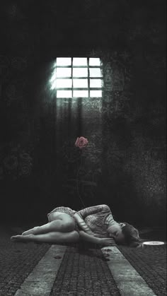 a woman laying on the ground in front of a window with a rose growing out of it