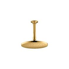 an image of a brass plated shower head