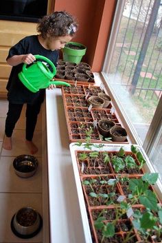 a young boy watering plants in front of a window