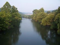 a river surrounded by lots of trees next to a forest