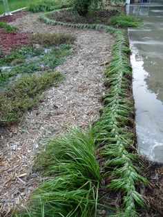 the grass is growing along the side of the road in front of some water and bushes