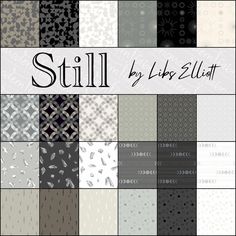 the cover of still by lily zlatt