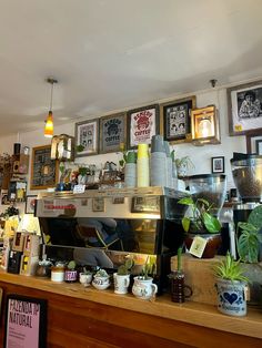 a coffee shop filled with potted plants and pictures on the wall