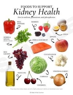 Foods to Support Kidney Health Handout — Functional Health Research + Resources — Made Whole Nutrition Pasti Fit, Food For Kidney Health, Functional Health, Different Foods, Kidney Recipes, Food Health Benefits, Healthy Food Facts, Health Research