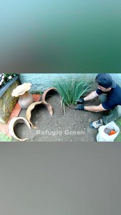 a man kneeling down next to a potted plant in the dirt with other pots around it