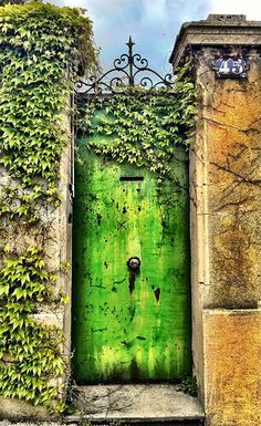 an old green door with vines growing on it