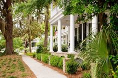 a white house surrounded by trees and bushes